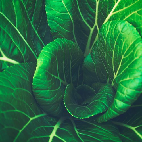 Farmer Sentiment Darkens Hopes Fade