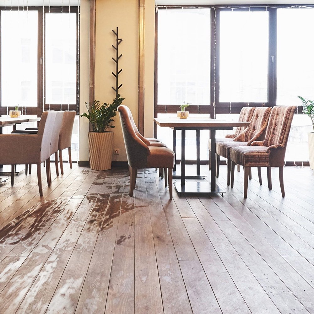 Aesthetics of Our Interior