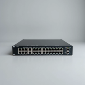Network Switch