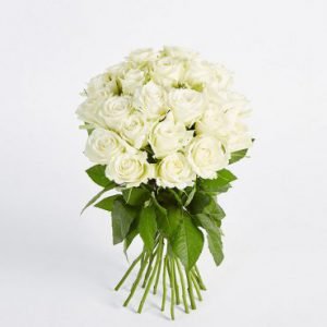 Product 09